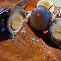 Śledż Jaś Wedrowniczek