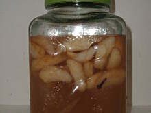 Fot. anex, Nalewka gruszkowa