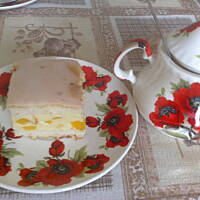 Biszkopt z masą karpatkową