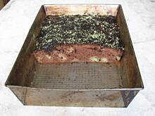 Fot. Halina07, Murzynek z jabłkami wg Haliny