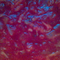 Prosty sos pomidorowy