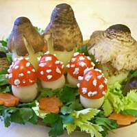 Fałszywe muchomorki i inne grzybki