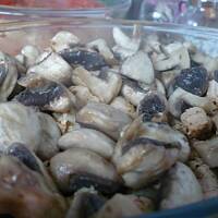 Zapiekanka mięsna I