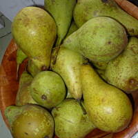 Knedliki z gruszkami