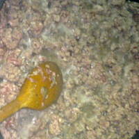 Bułeczki zapiekane z farszem - mniam!!!