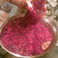 sałatka z kapusty czerwonej do słoika