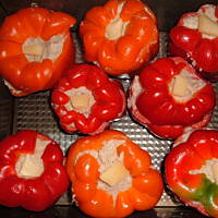 papryka faszerowana, zapiekana, z dobrym farszem