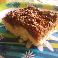 morelowiec z orzechowym płaszczem