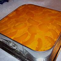 Sernik jogurtowo waniliowy wg Różyczki