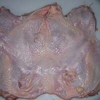 Galantyna z kurczaka Alll