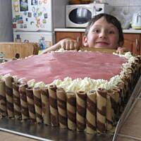 kiwi w roli głownej - lekkie ciasto