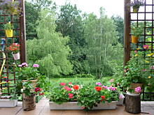 Fot. ewka63, Planujemy ogródek lub działkę - 1