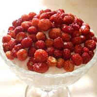 Poziomki z kremem waniliowym