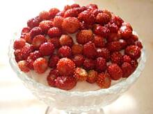 Fot. izeczka, Poziomki z kremem waniliowym