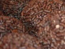 Fot. margot2, Rumowe Kulki wg org niemiec receptury