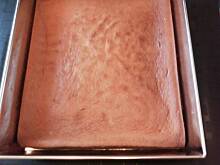 Fot. lelek, Szybko Owocowo