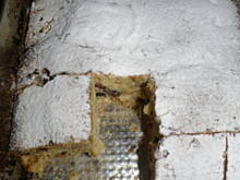 Fot. anulkas, Bananowiec bakaliowy