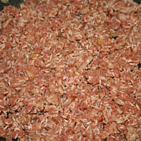 Zapiekanka o Smaku Gołąbka