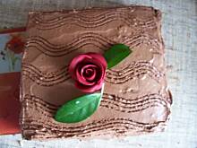 Fot. Chrystiana, Brzdąc pani psor