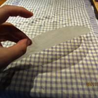 Sajgonki krok po kroku