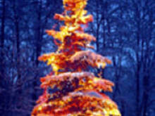 Fot. annao, witajcie wszyscy