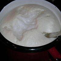 ciasto na pizzę  Anes