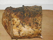 Fot. JolaS., schab z ziołami