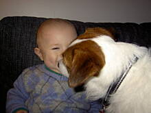 Fot. tineczka, Wlasny watek nr 8