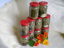 Fot. Kazik45, Polskie "kapary" B