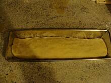 Fot. inka200, zawijaniec orzechowy kk