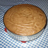 Biszkopt z kremem galaretką i owocami