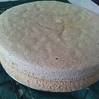 Biszkopt uniwersalny