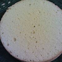 Biszkopt uniwersalny