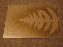 Fot. arabis, kartki świąteczne :)