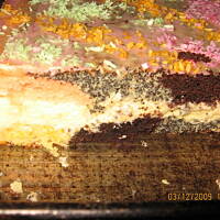 Kwitnący tulipan z twarogiem