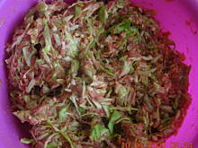 Fot. misiakasiaa, A'la gołąbki