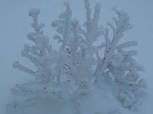 Fot. ewka63, Niezmiennie mnie to zachwyca