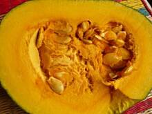 Fot. Mari, Nasiona dyni Hokkaido