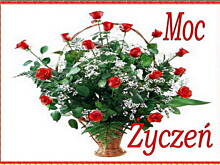 Fot. PATI :), Dziś urodziny świętują krysztalek21 i elianna oraz imieniny teresa55 i Teresa.Marcjan :)