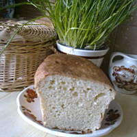 Bułka drożdżowa Rzymianki