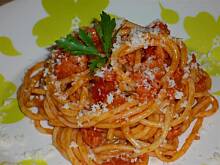 Fot. niebieska-różyczka, Bolognese