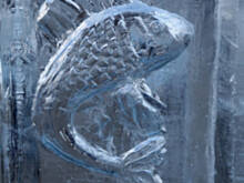 Fot. Wkn, Lodowe rzeźby w Gdyni 2010