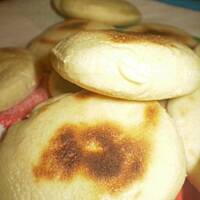 bat but czyli podplomyk z maroka