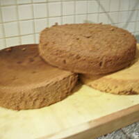 biszkopt najłatwiejszy wg Anity