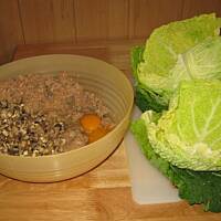 Protal - kapusta faszerowana