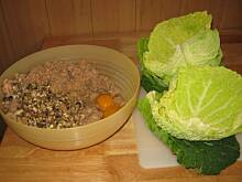 Fot. awe100, Protal - kapusta faszerowana