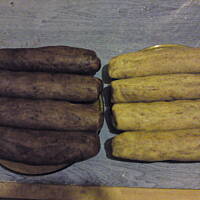 Ciastka czekoladowe proste i pyszne