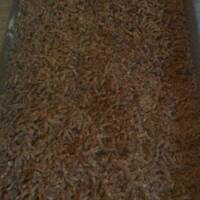 Ciastka czekoladowe proste i pyszne