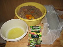 Fot. awe100, Protal - pasztet