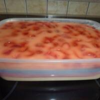 Galaretkowiec lub jogurtowiec z owocami (łatwy i smaczny)